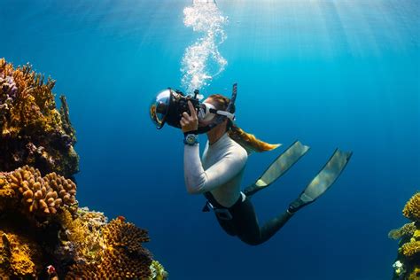 The Ultimate Guide To Diving In Destin