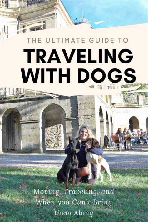 The Ultimate Guide To Traveling With Dogs Helene In Between