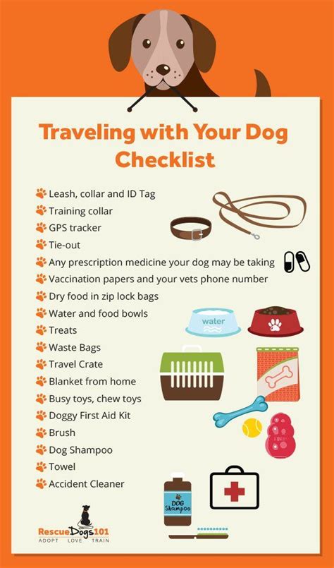 The Ultimate Guide To Traveling With Your Dog In The Car