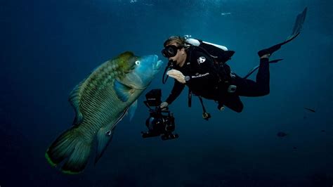 The World S Best Hidden Dive Spots Bbc Travel