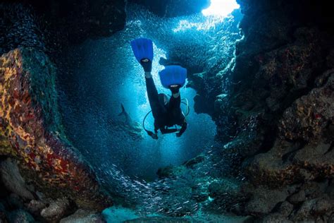 The World S Greatest Scuba Diving Destinations Scuba Diving Buzz