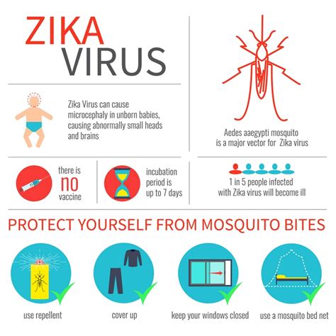 The Zika Virus And Travel New Advisory Warns Pregnant Women Tourist