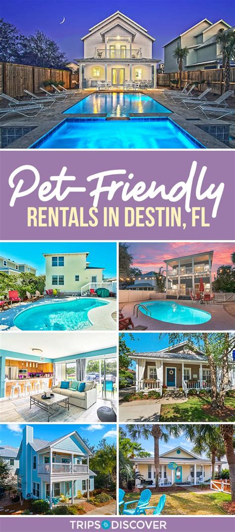 There S A Wide Range Of Destin Vacation Rentals Here That Are Pet