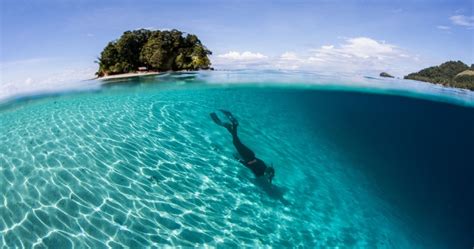 These Are Some Of The World Amp 39 S Best Scuba Diving Destinations Travel Life India