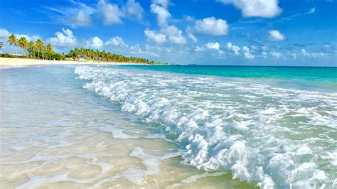 These Are The Best Times To Visit Punta Cana Visit Punta Cana Punta