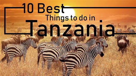 Things To Do And Places To Visit In Tanzania Must See Attractions