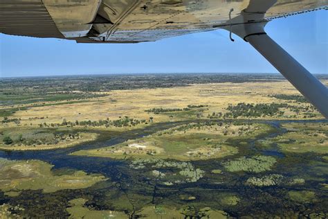 Things To Do In Maun Botswana Safari Ker Downey Africa