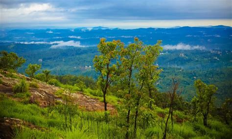 Things To Do In Wayanad