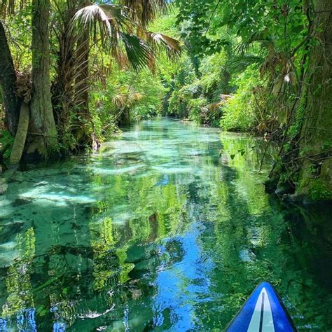 This Clear River In Florida Feels Like An Amazon Adventure Narcity