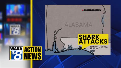 Three Hurt Including Two Alabama Teenagers In Two Shark Attacks Near Destin Florida Waka 8