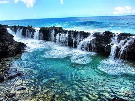 Tide Pool Adventures Via Coldwellbankerstcroixrealty Islandadventures Stcroixfun Tidepools