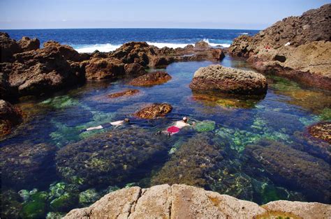 Tide Pool In Poor Knight Amp 39 S Island New Zealand One Of My Favourite Natural Wonders Is A Tidal