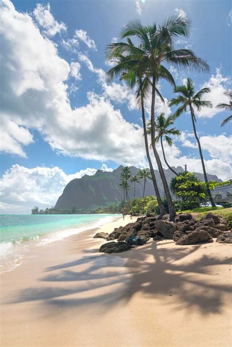 Tide Pool Swimming In Hawaii Best Travel Spots On Oahu Beach Aesthetic Coconut Girl Beach