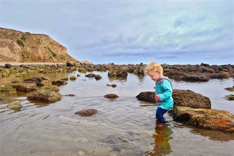 Tips And Advice For Exploring Tide Pools With Kids Run Wild My Child