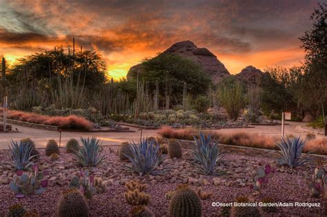 Top 10 Attractions To Visit In Phoenix Arizona Must Visit Destinations