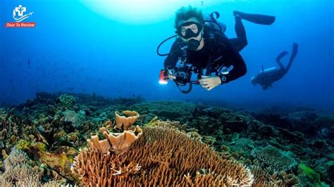 Top 10 Dive Sites World S Best Spots For Scuba Diving