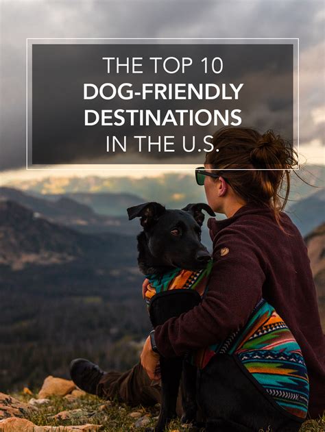 Top 10 Dog Friendly Vacation Destinations In The U S Zocha Group