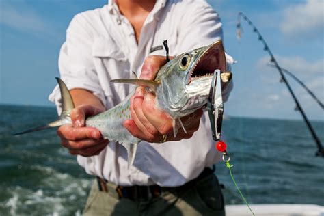 Top 10 Florida Fishing Spots An Angler S Guide