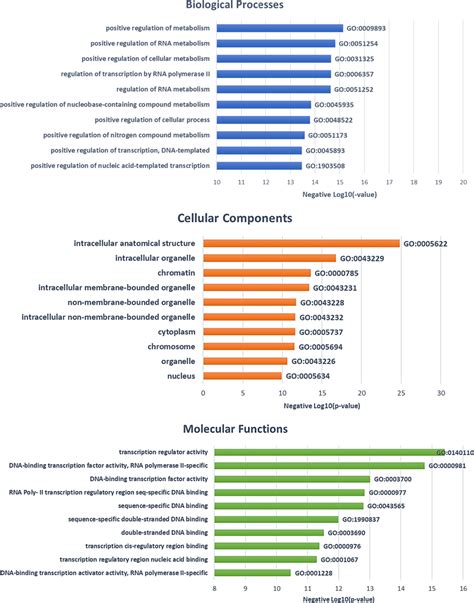 Top 10 Go Term Enrichment Results Of Dmcs Annotated Genes Between