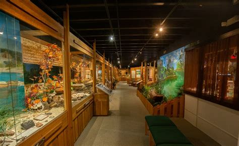 Top 10 Museums In Destin Best Guide Amp Helpful Review