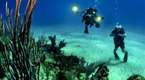 Top 10 Scuba Diving Destinations In The World Trip Ways