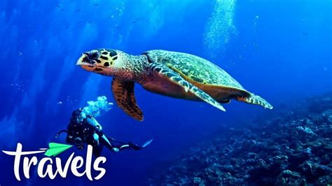 Top 10 Scuba Diving Destinations La Vie Zine