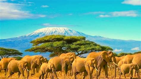 Top 10 Travel Destinations In Africa New York Rush