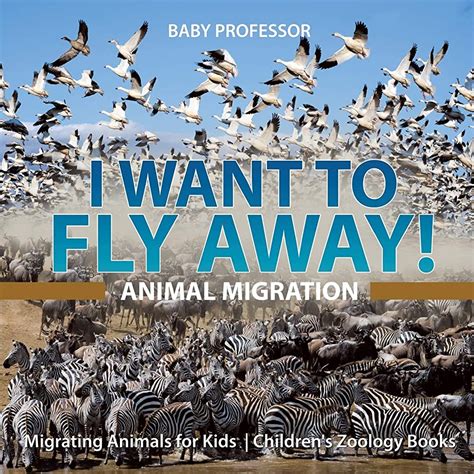 Top 144 What Is Migration Why Do Animals Migrate Merkantilaklubben Org