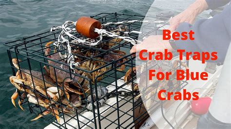 Top 5 Best Crab Traps For Blue Crabs Youtube