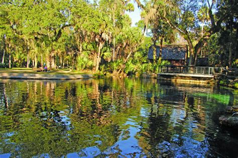 Top 5 Best Natural Springs In Florida East Coast Current