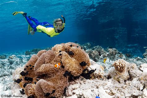 Top 5 Best Snorkeling Destinations Caradonna Adventures