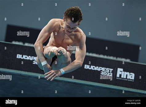 Top 5 Dives Men 10M Platform 19Th Fina World Championships Youtube