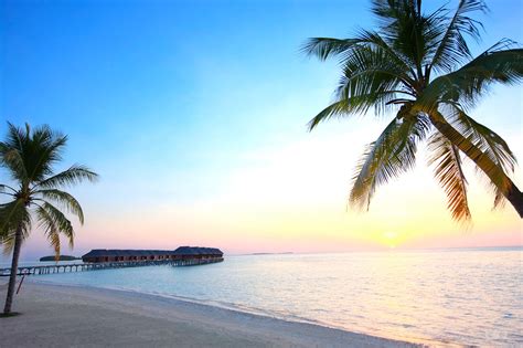 Top 5 Honeymoon Destinations In The Maldives Alpha Maldives Blog