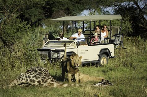 Top 5 Most Popular Safari Destinations In Africa Imc Grupo