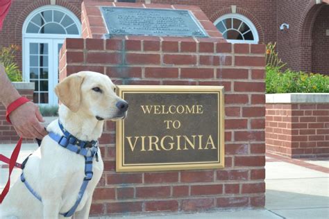 Top 5 Pet Friendly Hotels In Virginia Tripswithpets Com