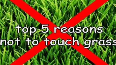 Top 5 Reasons Not To Touch Grass Youtube