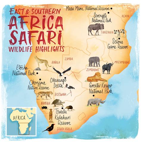 Top 5 Safari Destinations In Africa Artofit