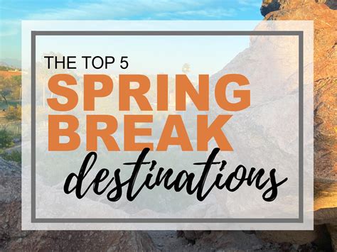 Top 5 Spring Break Destinations Wildcat Chronicle