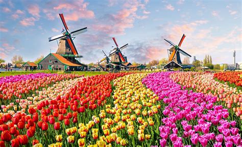 Top 5 Spring Travel Destinations Laptrinhx News