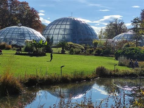 Top 5 Things To Do In Botanical Garden Zurich