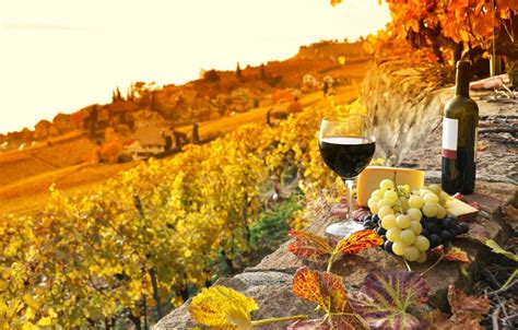 Top 5 Tours To Visit Tuscany In Autumn