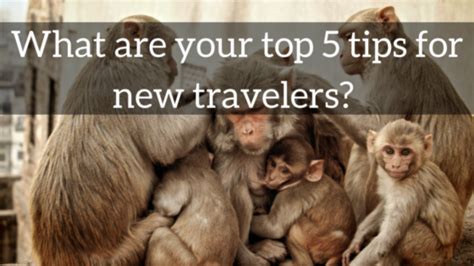 Top 5 Travel Tips For New Travelers Bootsnall Travel Blog