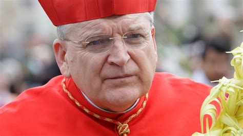 Top American Cardinal Raymond Leo Burke Calls Church Under Pope