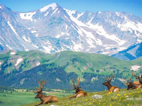 Top Colorado Summer Vacation Activities Colorado Travel Coloradoinfo Com