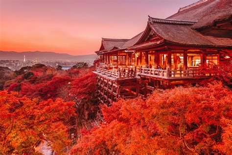 5 Top Japan Destinations