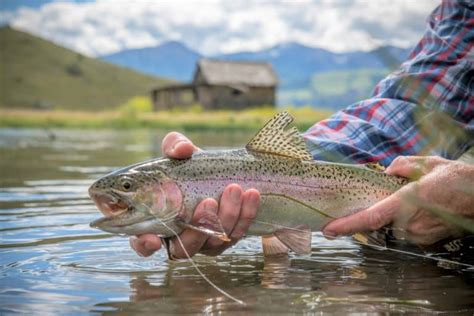 Top Fly Fishing Destinations Worldwide