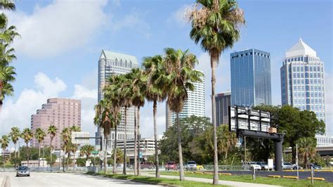 Top Ten Things To Do In Tampa Fl Wanderwisdom