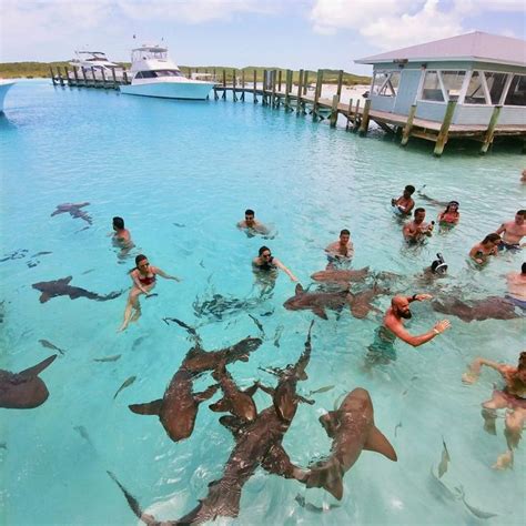 Top Things To Do In Exuma Bahamas Travel Guide Exuma Bahamas