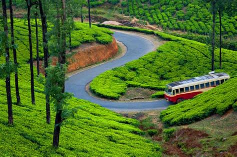 Tour Travel World On Twitter 3 Days 2 Nights Misty Munnar