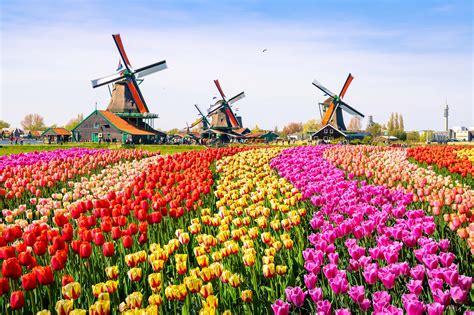 Netherlands Top Tourist Destination